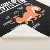 Couverture Sherpa Anatomie D'Un Écureuil (3/4)