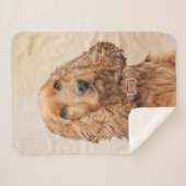 Couverture Sherpa Anglais Cocker Peinture Espagnole - Art Chien orig (Devant (Horizontal))