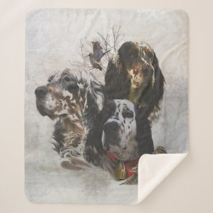 Couverture Sherpa Anglais Setter, chasse à la bécasse
