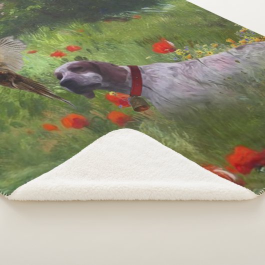 Couverture Sherpa Anglais Setter, Chasse de faisan (3/4)