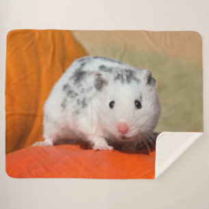 Couverture Sherpa Animal familier drôle repéré par noir blanc syr