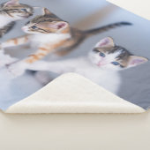Couverture Sherpa Animaux de bébés cutest | 3 Tabby Kittens (3/4)