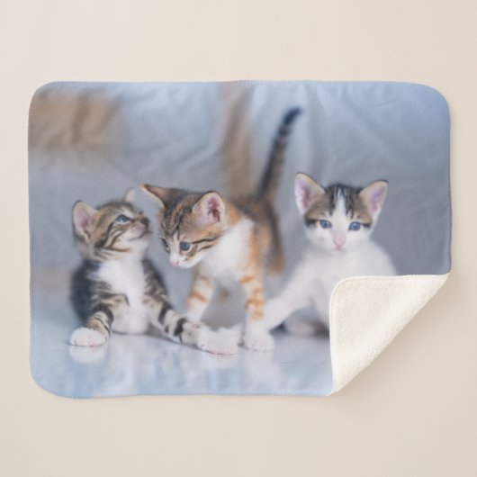 Couverture Sherpa Animaux de bébés cutest | 3 Tabby Kittens (Devant (Horizontal))
