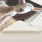 Couverture Sherpa Animaux de bébés cutest | Agneau mignon dans une f (3/4)
