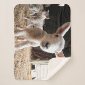 Couverture Sherpa Animaux de bébés cutest | Agneau mignon dans une f (Devant)