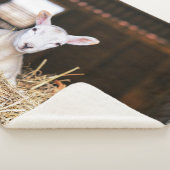 Couverture Sherpa Animaux de bébés cutest | Agneau nouveau-né (3/4)