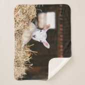 Couverture Sherpa Animaux de bébés cutest | Agneau nouveau-né (Devant)