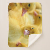 Couverture Sherpa Animaux de bébés cutest | Baby Duck Group (Devant)