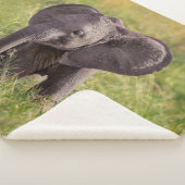 Couverture Sherpa Animaux de bébés cutest | Baby Elephant Kenya Afri (3/4)