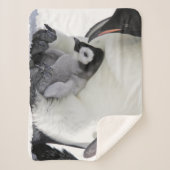 Couverture Sherpa Animaux de bébés cutest | Baby Empereur Penguin (Devant)