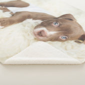 Couverture Sherpa Animaux de bébés cutest | Baby Pit Bull Puppy (3/4)