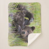 Couverture Sherpa Animaux de bébés cutest | Bébé Ours Brown (Devant)