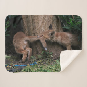 Couverture Sherpa Animaux de bébés cutest Bébé Renards Jouer