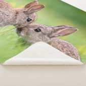 Couverture Sherpa Animaux de bébés cutest | Bunny Kiss (3/4)