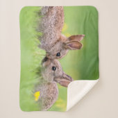 Couverture Sherpa Animaux de bébés cutest | Bunny Kiss (Devant)