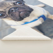 Couverture Sherpa Animaux de bébés cutest | Carlin bébé (3/4)