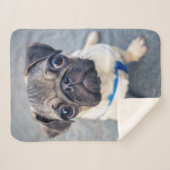 Couverture Sherpa Animaux de bébés cutest | Carlin bébé (Devant (Horizontal))