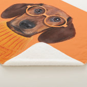 Couverture Sherpa Animaux de bébés cutest | Chandail orange Dachshun (3/4)