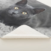 Couverture Sherpa Animaux de bébés cutest | Chat gris (3/4)