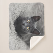 Couverture Sherpa Animaux de bébés cutest | Chat gris (Devant)