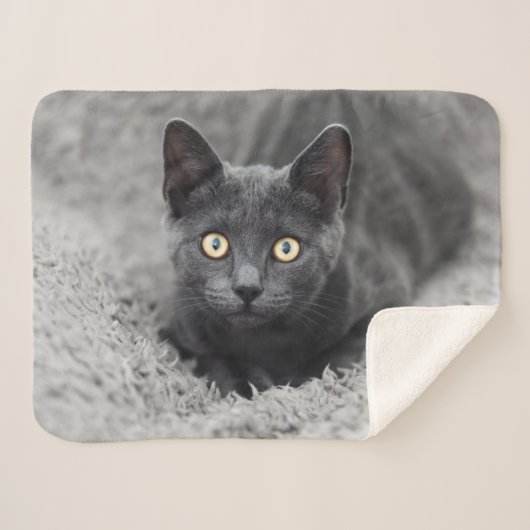 Couverture Sherpa Animaux de bébés cutest | Chat gris (Devant (Horizontal))