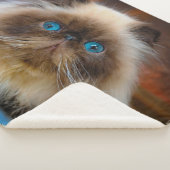 Couverture Sherpa Animaux de bébés cutest | Chat himalayen (3/4)