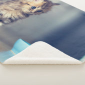 Couverture Sherpa Animaux de bébés cutest | Chaton persan aux yeux b (3/4)