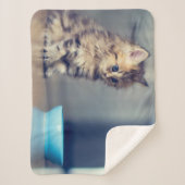 Couverture Sherpa Animaux de bébés cutest | Chaton persan aux yeux b (Devant)