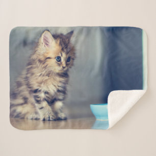 Couverture Sherpa Animaux de bébés cutest Chaton persan aux yeux b
