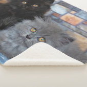 Couverture Sherpa Animaux de bébés cutest | Chatons persans sur couv (3/4)