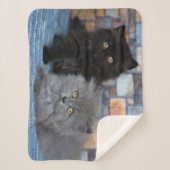 Couverture Sherpa Animaux de bébés cutest | Chatons persans sur couv (Devant)