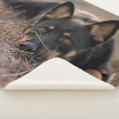 Couverture Sherpa Animaux de bébés cutest | Chiot berger allemand (3/4)