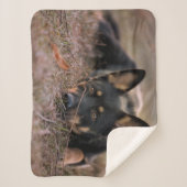 Couverture Sherpa Animaux de bébés cutest | Chiot berger allemand (Devant)