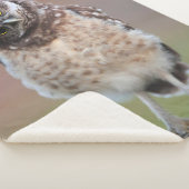 Couverture Sherpa Animaux de bébés cutest | Chouette à tête bractée (3/4)