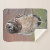 Couverture Sherpa Animaux de bébés cutest | Chouette à tête bractée (Devant (Horizontal))