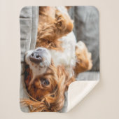 Couverture Sherpa Animaux de bébés cutest | Cocker Spaniel (Devant)