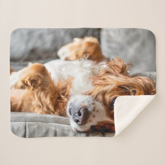 Couverture Sherpa Animaux de bébés cutest | Cocker Spaniel (Devant (Horizontal))