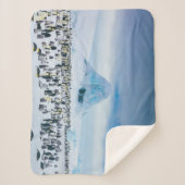 Couverture Sherpa Animaux de bébés cutest | Colonie de l'empereur Pe (Devant)