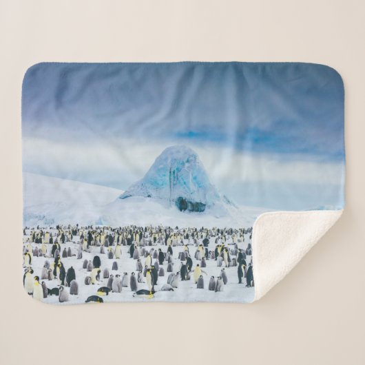 Couverture Sherpa Animaux de bébés cutest | Colonie de l'empereur Pe (Devant (Horizontal))