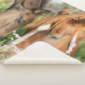 Couverture Sherpa Animaux de bébés cutest | Colt à cheval (3/4)