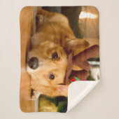 Couverture Sherpa Animaux de bébés cutest | Corgi Christmas Reindeer (Devant)