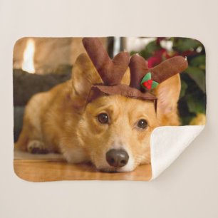 Couverture Sherpa Animaux de bébés cutest Corgi Christmas Reindeer