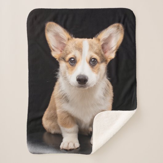 Couverture Sherpa Animaux de bébés cutest | Corgi Puppy Standing Hau (Devant)