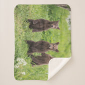 Couverture Sherpa Animaux de bébés cutest | Cubes d'ours Brown Kamch (Devant)