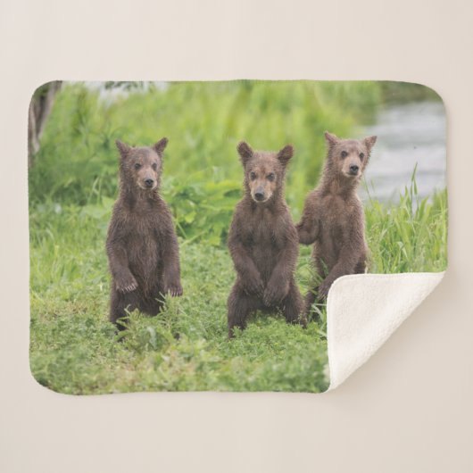 Couverture Sherpa Animaux de bébés cutest | Cubes d'ours Brown Kamch (Devant (Horizontal))