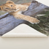 Couverture Sherpa Animaux de bébés cutest | Cute Lion Cub (3/4)