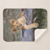 Couverture Sherpa Animaux de bébés cutest | Cute Lion Cub (Devant (Horizontal))