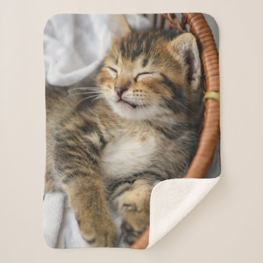 Couverture Sherpa Animaux de bébés cutest | Cute Tabby Chat Dormir (Devant)