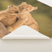 Couverture Sherpa Animaux de bébés cutest | Deux Lions Cubs (3/4)