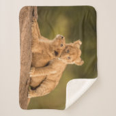 Couverture Sherpa Animaux de bébés cutest | Deux Lions Cubs (Devant)